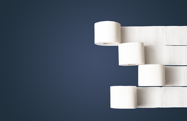 toilet-paper-4974461_640